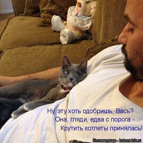 4743317_kotomatritsa_N7 (600x600, 70Kb)