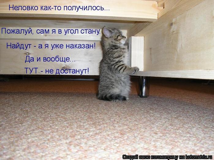 4743317_kotomatritsa_d (700x524, 64Kb)