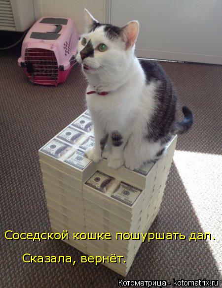 4743317_kotomatritsa_l (450x585, 51Kb)