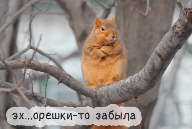 5672049_1559287488_13 (650x437, 74Kb)