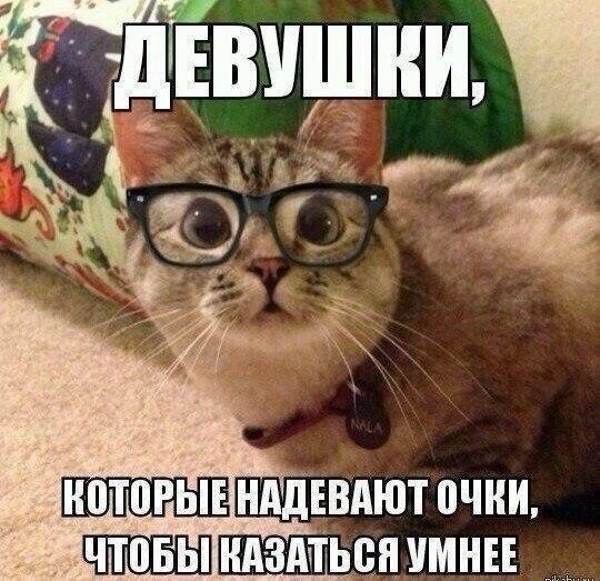 5672049_1579085036_7 (540x523, 78Kb)