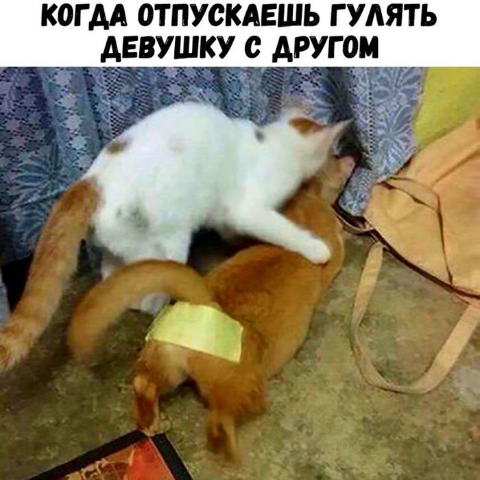 5672049_1579085116_38 (700x699, 108Kb)