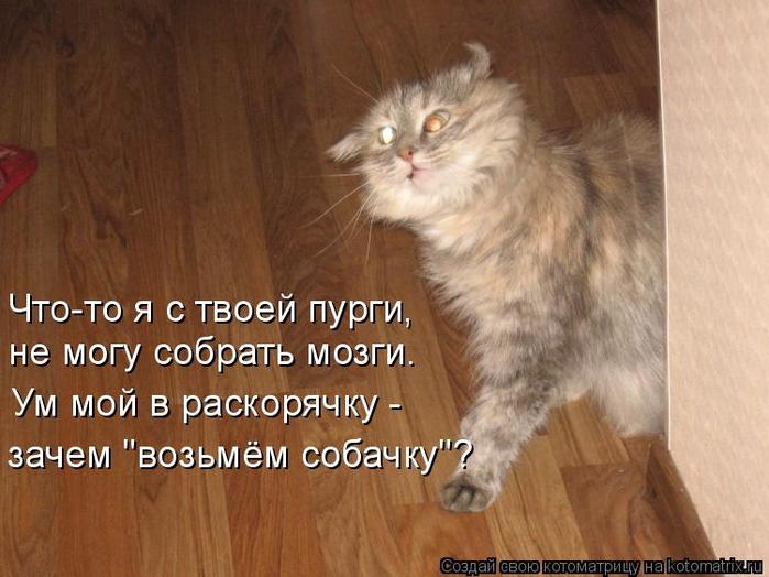 4743317_kotomatritsa_j (700x524, 53Kb)