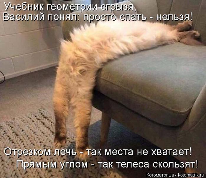 4743317_kotomatritsa_Wb (700x604, 65Kb)