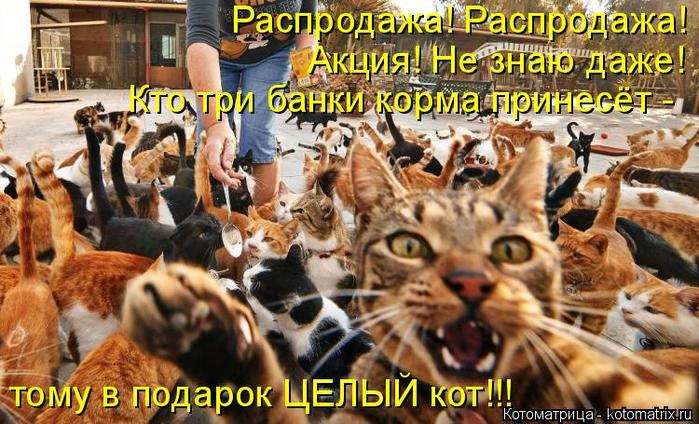 4743317_kotomatritsa_k (700x424, 80Kb)