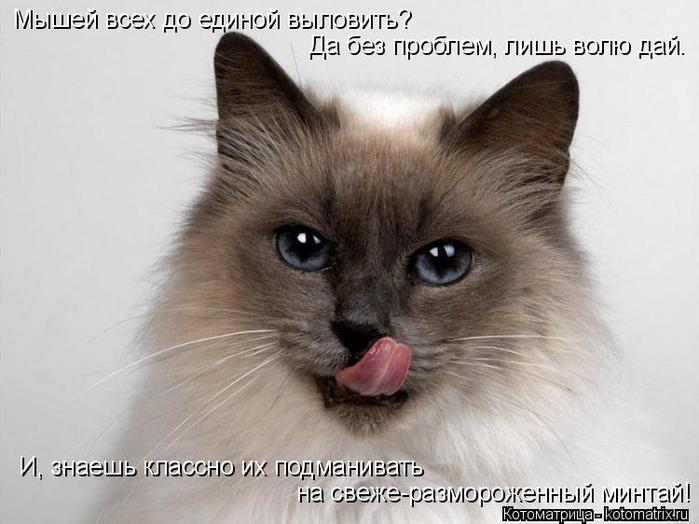 4743317_kotomatritsa_at (700x524, 49Kb)