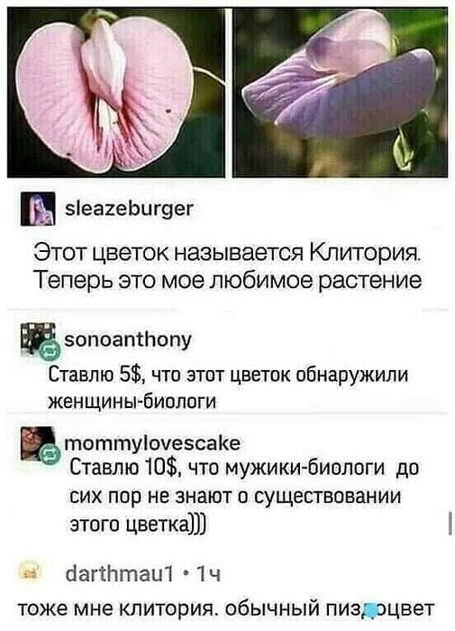  (505x700, 58Kb)
