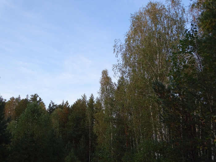 DSC00025 (700x525, 398Kb)