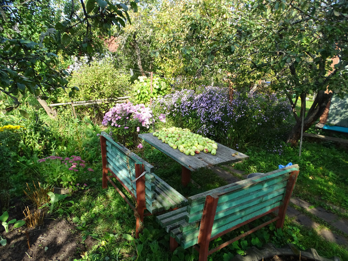 DSC00059 (700x525, 649Kb)