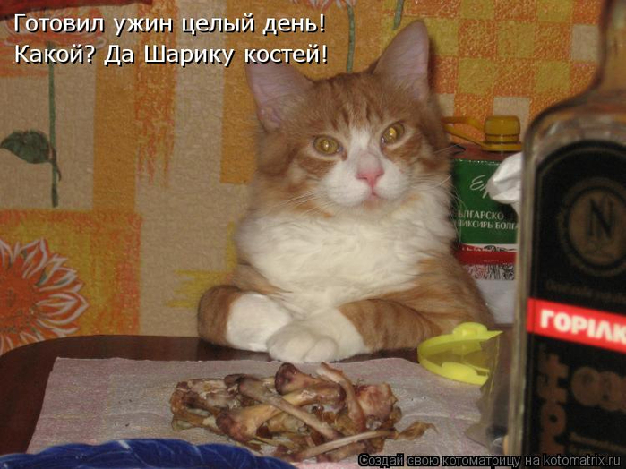 kotomatritsa_0O (700x524, 360Kb)