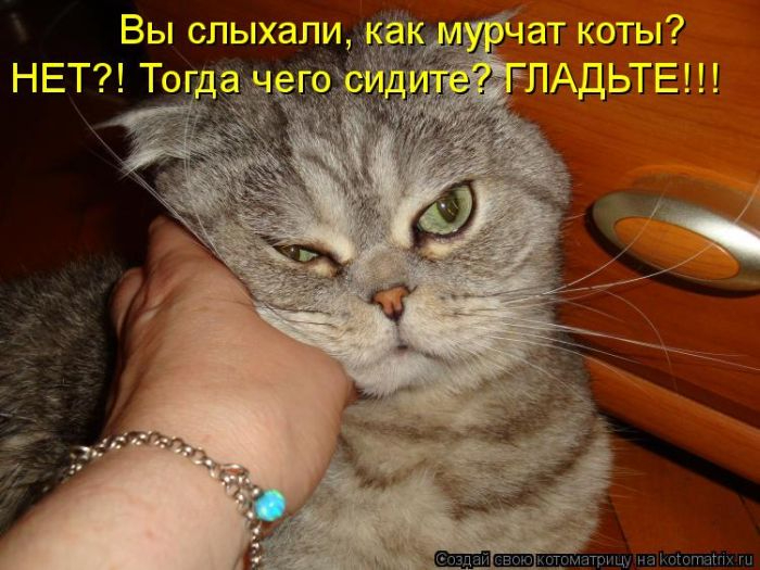 kotomatritsyi_(1_iz_49_foto) (700x525, 268Kb)