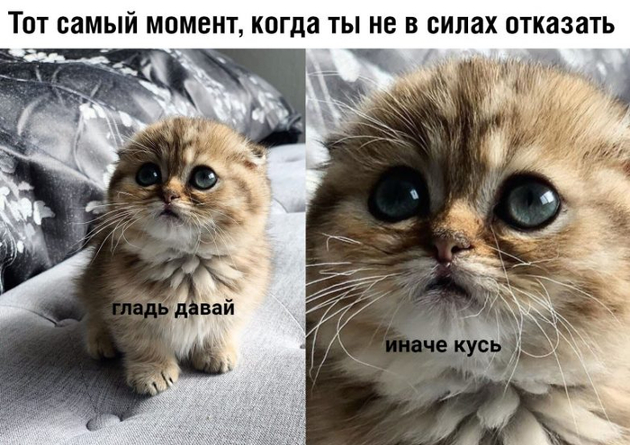 516d41c64467df2bbf0db31f088325a3 (700x495, 327Kb)
