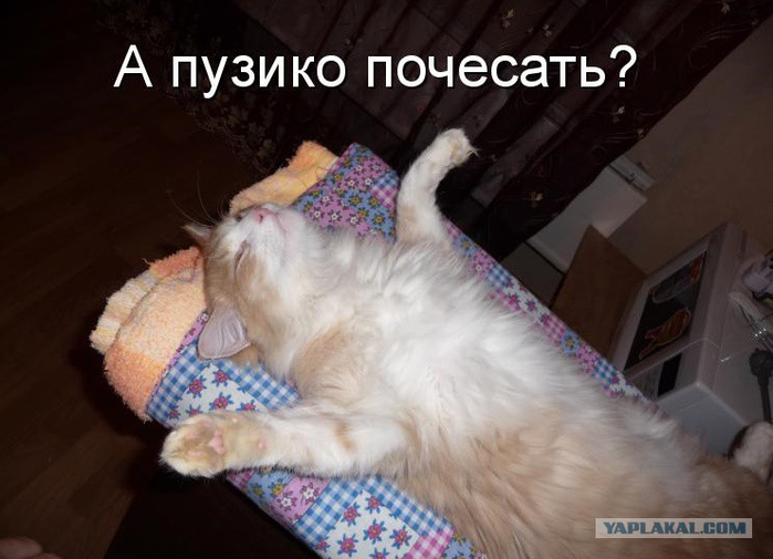 9577271 (700x505, 272Kb)