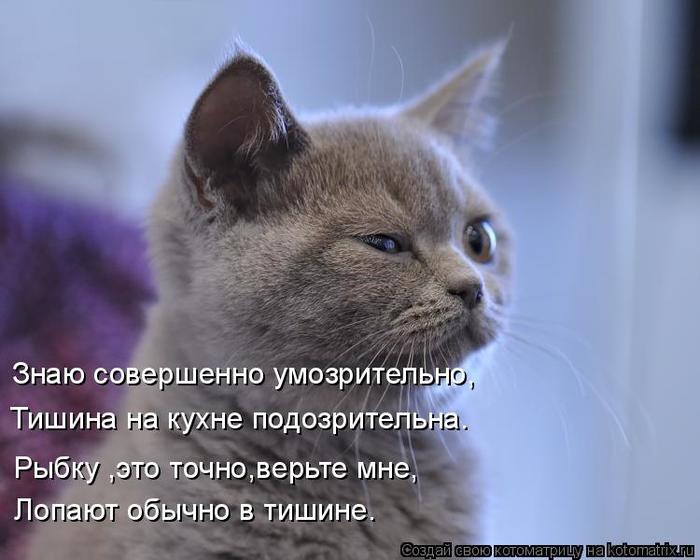 4743317_kotomatritsa_E (700x560, 47Kb)