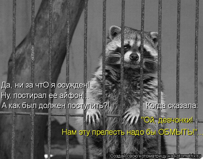 4743317_kotomatritsa_iP (700x550, 78Kb)