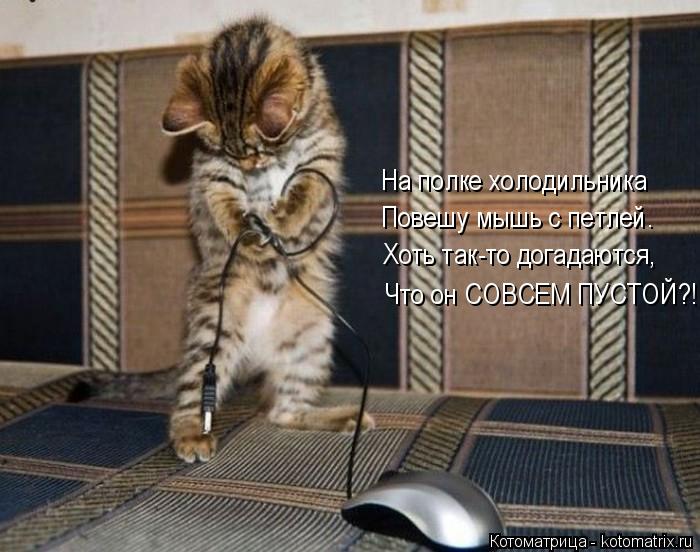 4743317_kotomatritsa_X (700x552, 63Kb)