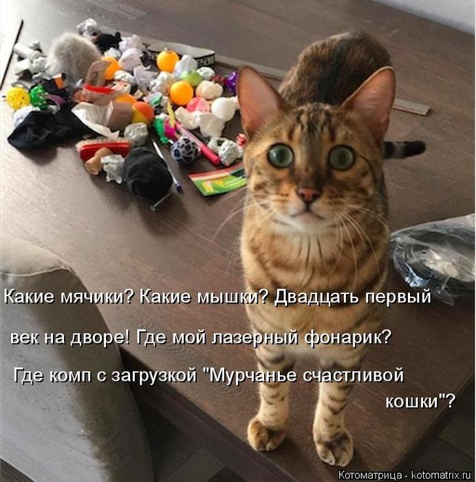 4743317_kotomatritsa_AZ (692x700, 76Kb)
