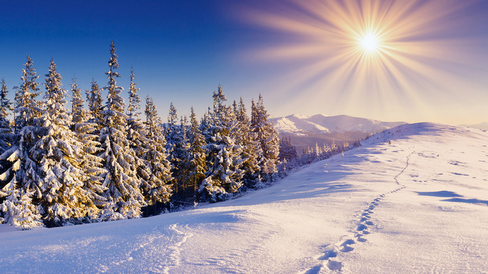 снег зима солнце пейзаж (600x400, 145Kb)