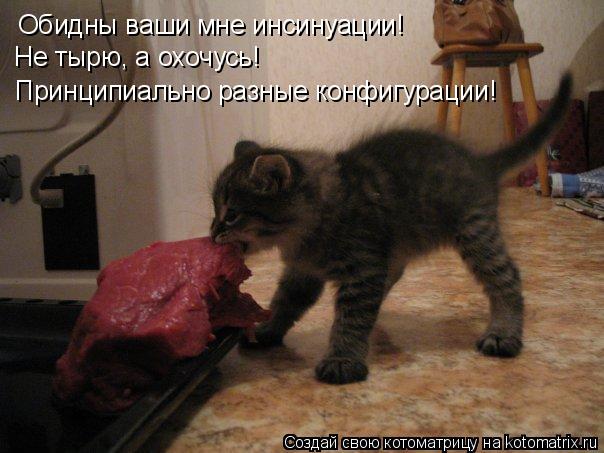4743317_kotomatritsa_6 (604x453, 48Kb)