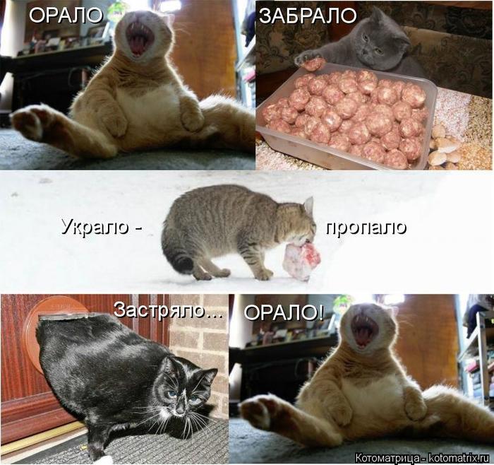 4743317_kotomatritsa_8 (700x658, 79Kb)