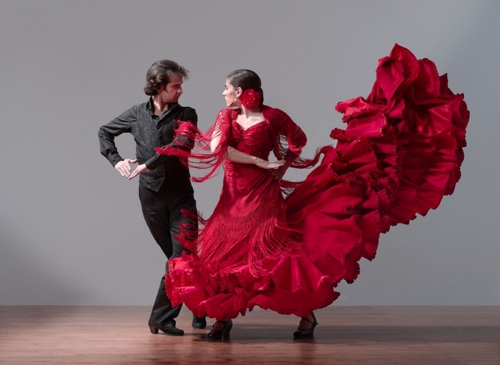 2714816_FlamencoSpainOnlineEurope (700x511, 176Kb)