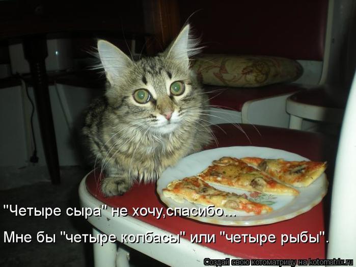 4743317_kotomatritsa_h (700x524, 49Kb)