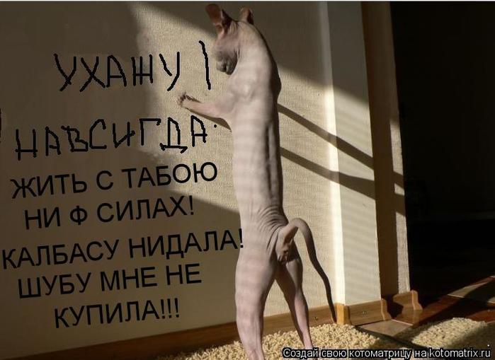 4743317_kotomatritsa_A (700x509, 45Kb)
