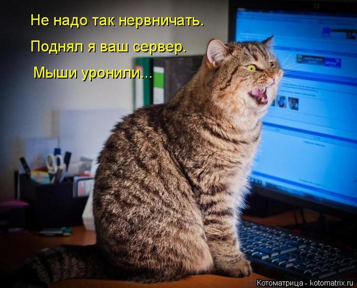 4743317_kotomatritsa_i (700x564, 64Kb)