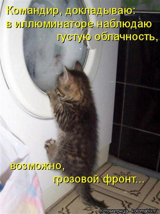 4743317_kotomatritsa_A_1 (524x700, 53Kb)