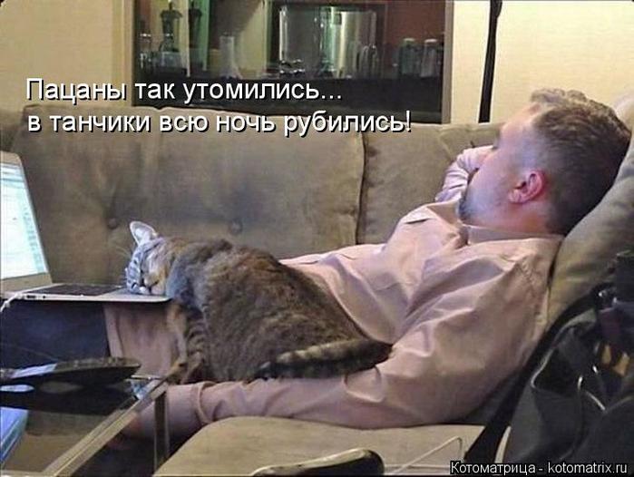 4743317_kotomatritsa_I (700x526, 53Kb)