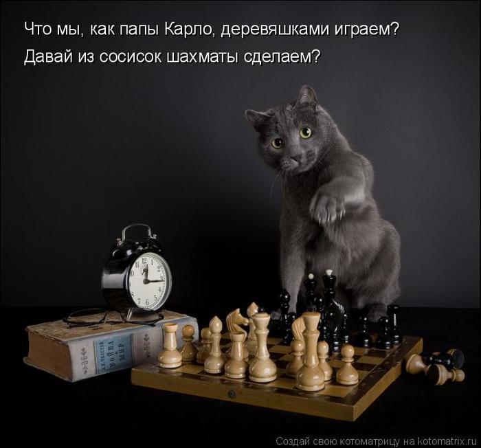 4743317_kotomatritsa_jc (700x652, 44Kb)