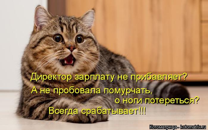 4743317_kotomatritsa_3 (700x436, 50Kb)