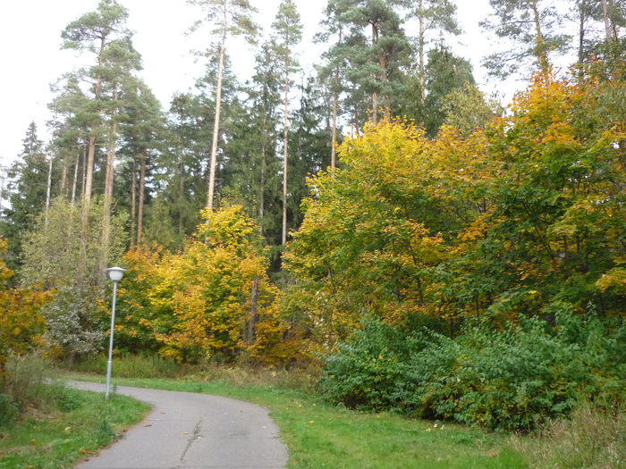 P1280446 (700x525, 563Kb)