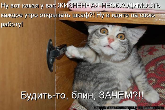 4743317_kotomatritsa_x (700x464, 55Kb)