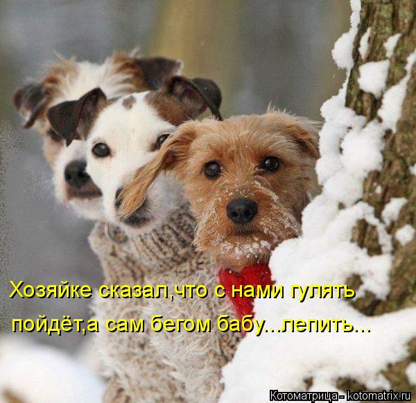 4743317_kotomatritsa_D (600x581, 63Kb)
