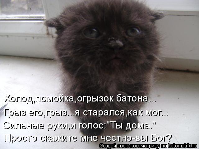 4743317_kotomatritsa_lA (640x480, 46Kb)