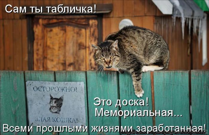 4743317_kotomatritsa_R (700x451, 58Kb)