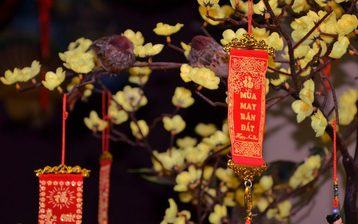 viet_JPG (700x437, 338Kb)