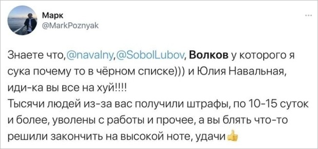 5272452_volkov_navalnii (652x306, 43Kb)