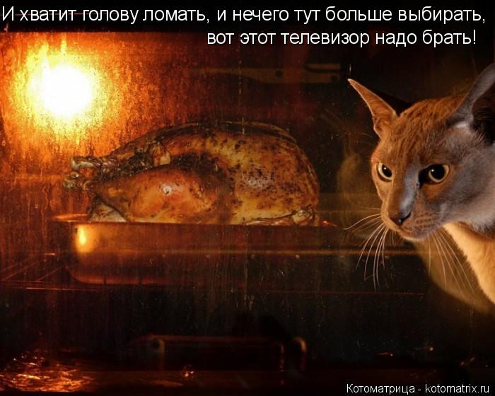 4743317_kotomatritsa_Q (700x560, 57Kb)