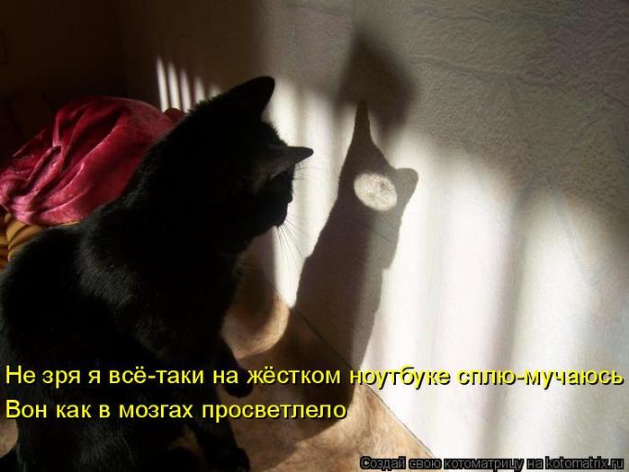 4743317_kotomatritsa_t_1 (700x525, 44Kb)