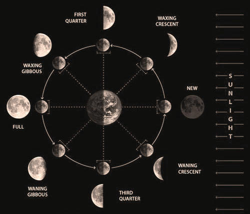 4384049_luna (500x428, 26Kb)