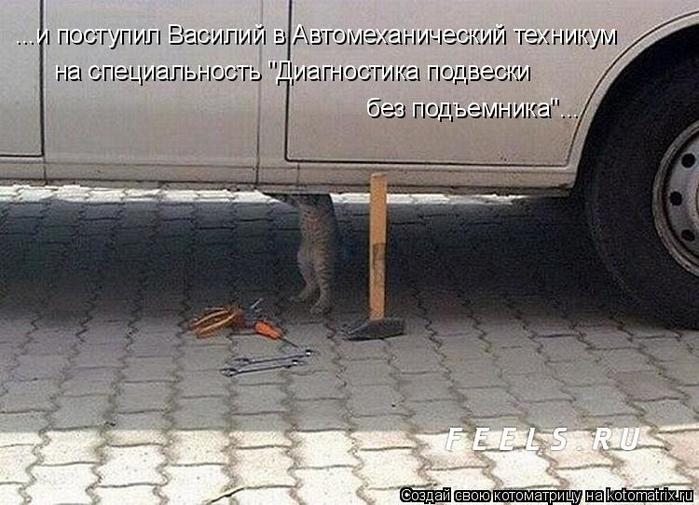 4743317_kotomatritsa_7 (700x505, 65Kb)