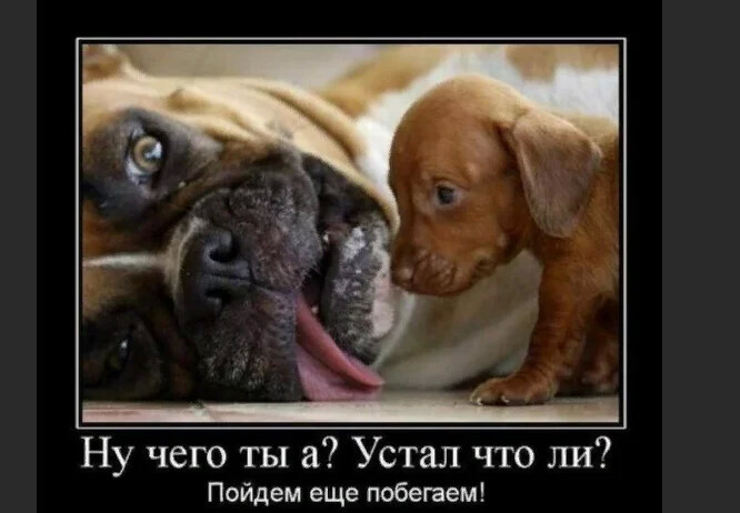 4743317_i_1_jpgiva (666x462, 58Kb)