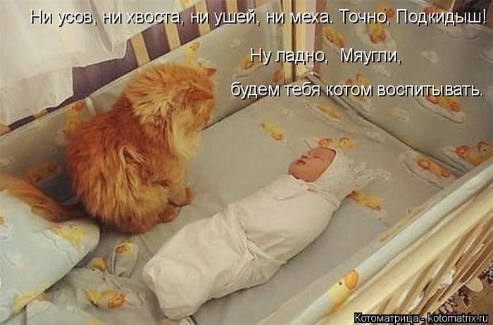 4743317_kotomatritsa_2s (700x462, 48Kb)