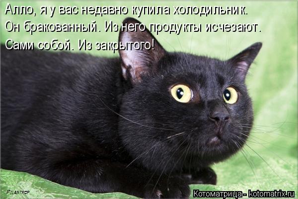 4743317_kotomatritsa_B_1 (600x400, 46Kb)