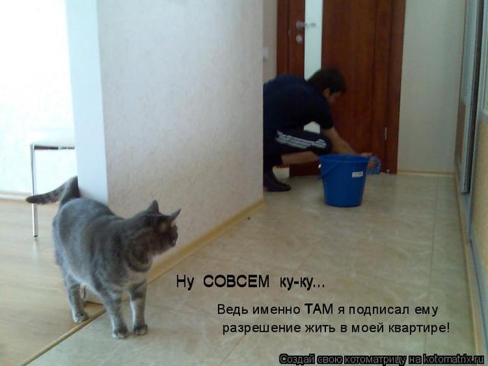 4743317_kotomatritsa_ZJ (700x524, 34Kb)
