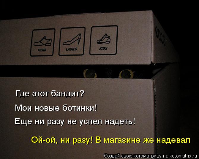 4743317_kotomatritsa_h (670x537, 46Kb)