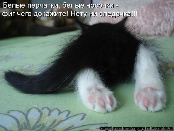 4743317_kotomatritsa_s_1 (700x524, 44Kb)