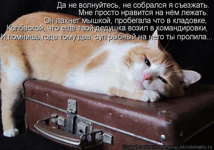 4743317_kotomatritsa_S (700x491, 65Kb)
